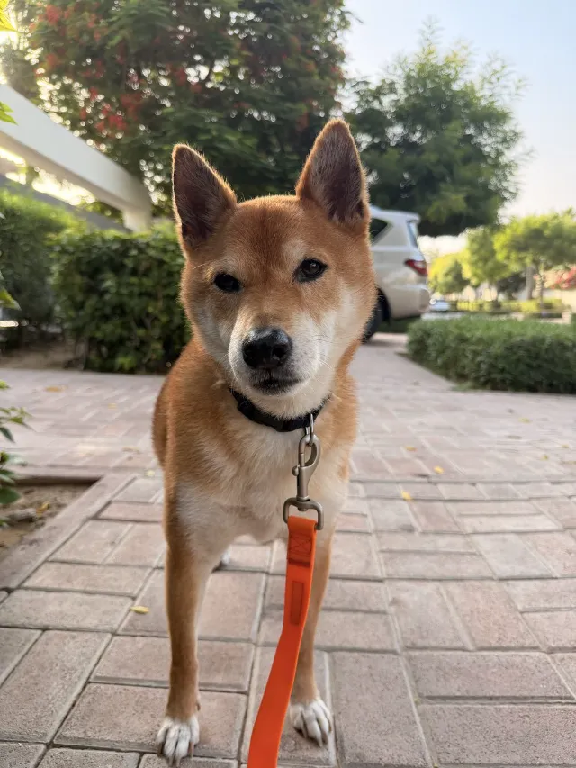 Hiro
