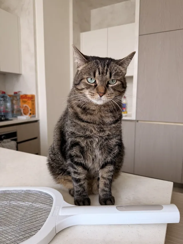 Nala