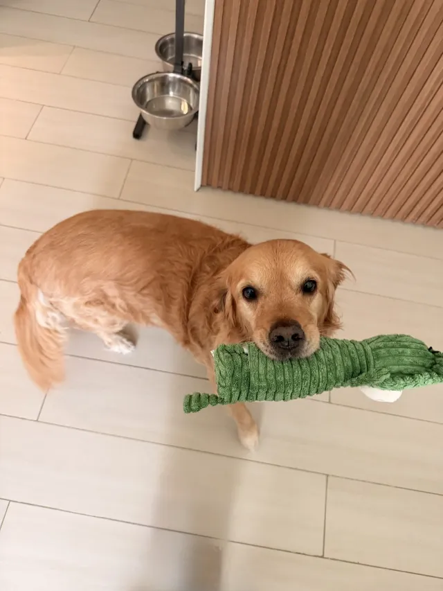 Oscar
